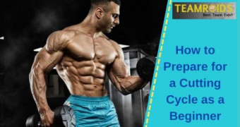 How to Prepare for a Cutting Cycle as a Beginner