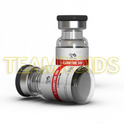 L-Carnitine 500 Dragon Pharma