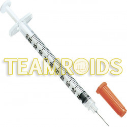 Syringe 1ml Insulin BULK (100 pcs)