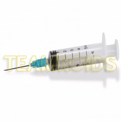 Syringe 6ml BULK (50 pcs)
